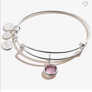 Alex and Ani Purple Gemstone Birthstone